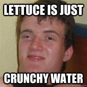 Lettuce is just Crunchy Water - Lettuce is just Crunchy Water  Misc