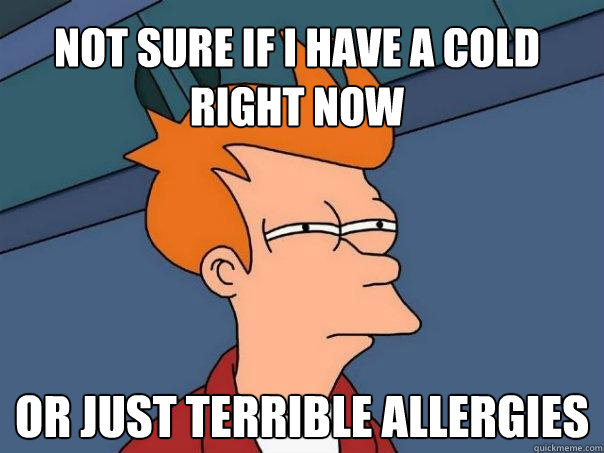 Not sure if I have a cold right now or just terrible allergies  Futurama Fry