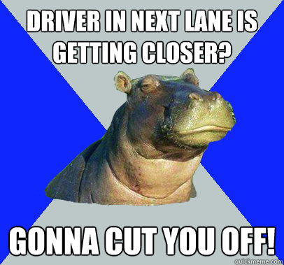 driver in next lane is getting closer? gonna cut you off! - driver in next lane is getting closer? gonna cut you off!  Skeptical Hippo