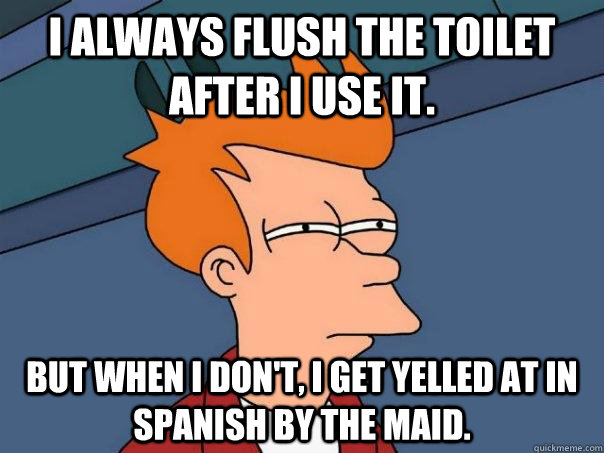 I always flush the toilet after I use it. But when I don't, I get yelled at in Spanish by the maid.  Futurama Fry