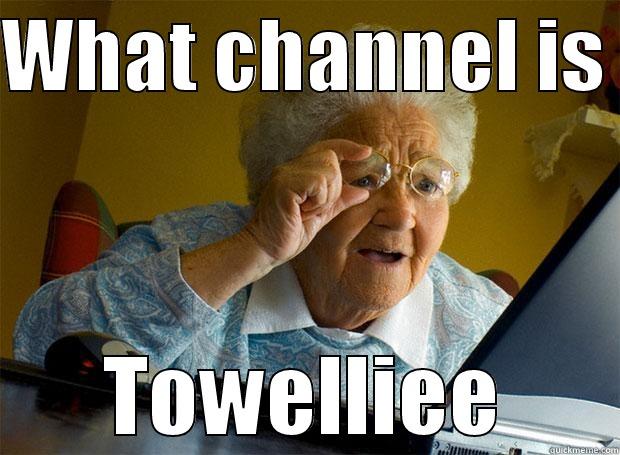 What channel is  - WHAT CHANNEL IS  TOWELLIEE Grandma finds the Internet