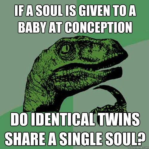 If a soul is given to a baby at conception Do identical twins share a single soul? - If a soul is given to a baby at conception Do identical twins share a single soul?  Philosoraptor