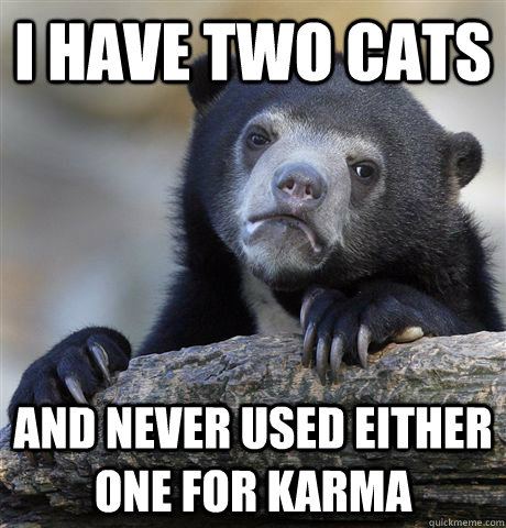 i have two cats and never used either one for karma  Confession Bear