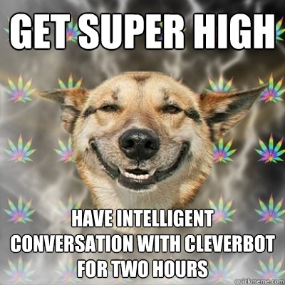 get super high have intelligent conversation with cleverbot for two hours  Stoner Dog