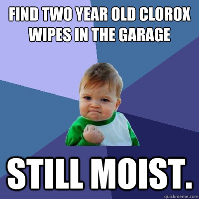 Find two year old Clorox wipes in the garage
 still moist.   Success Kid