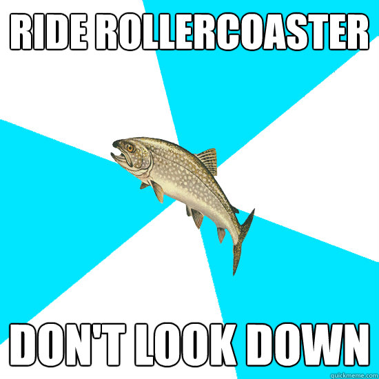 Ride rollercoaster DON't look down - Ride rollercoaster DON't look down  Pop Punk Trout