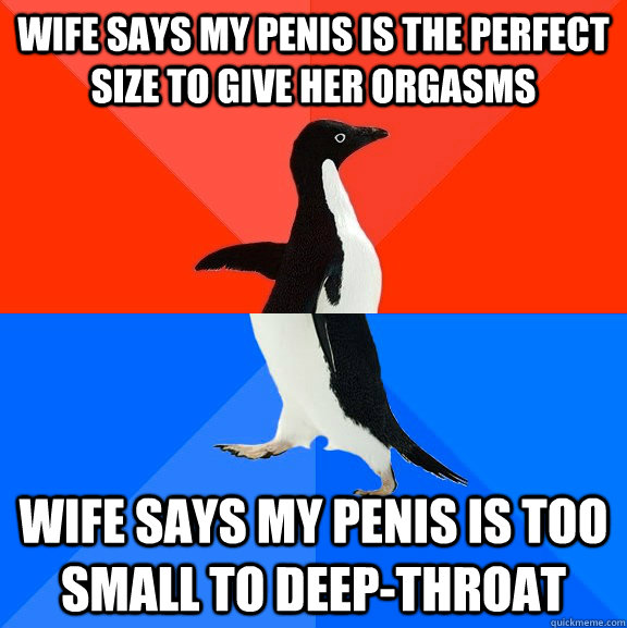 wife says my penis is the perfect size to give her orgasms wife says my penis is too small to deep-throat  Socially Awesome Awkward Penguin