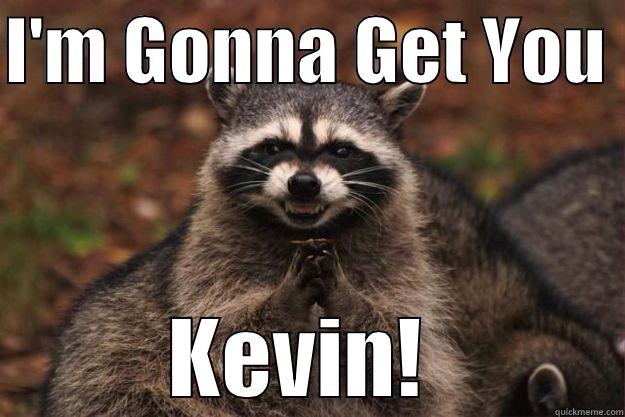 I'M GONNA GET YOU  KEVIN!  Evil Plotting Raccoon