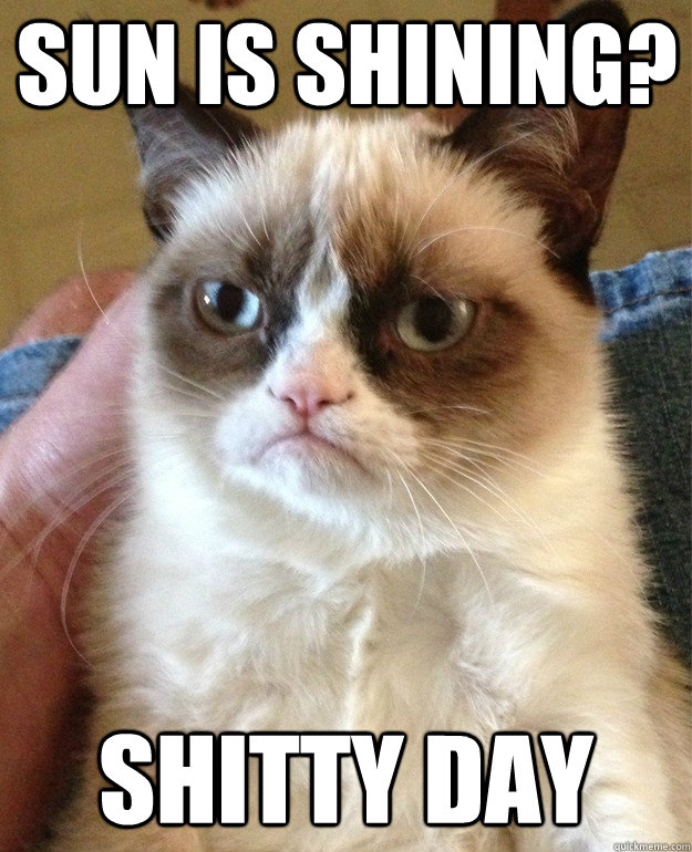 Sun is shining? Shitty Day  Grumpy Cat