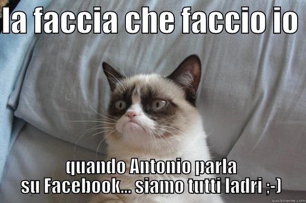 LA FACCIA CHE FACCIO IO  QUANDO ANTONIO PARLA SU FACEBOOK... SIAMO TUTTI LADRI ;-) Grumpy Cat