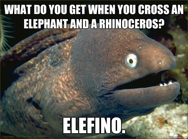 What do you get when you cross an elephant and a rhinoceros? Elefino.  Bad Joke Eel