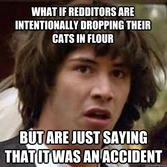 what if redditors are intentionally dropping their cats in flour  but are just saying that it was an accident   conspiracy keanu