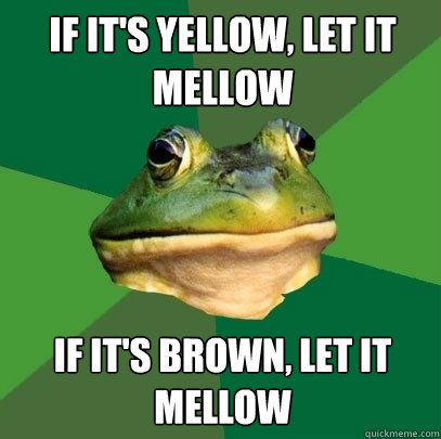 If it's yellow, let it mellow If it's brown, let it mellow  Foul Bachelor Frog