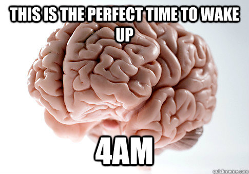 This is the perfect time to wake up 4am  Scumbag Brain