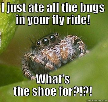 I JUST ATE ALL THE BUGS IN YOUR FLY RIDE! WHAT'S THE SHOE FOR?!?! Misunderstood Spider