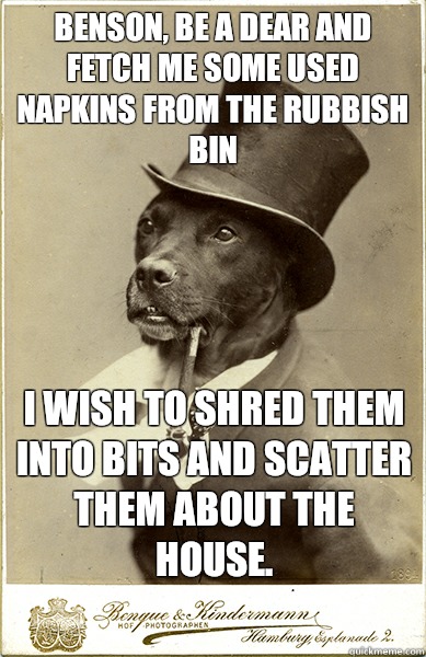 Benson, be a dear and fetch me some used napkins from the rubbish bin I wish to shred them into bits and scatter them about the house.   Old Money Dog