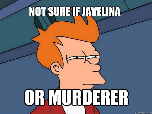 not sure if javelina or murderer  Futurama Fry