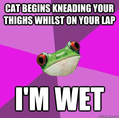 Cat begins kneading your thighs whilst on your lap I'm wet - Cat begins kneading your thighs whilst on your lap I'm wet  Foul Bachelorette Frog