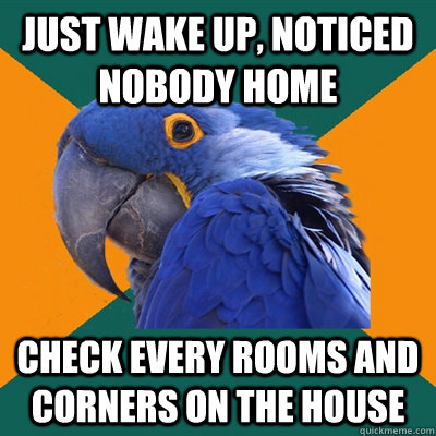 Just wake up, noticed nobody home check every rooms and corners on the house   Paranoid Parrot
