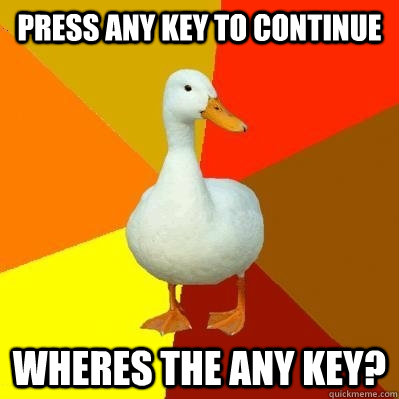 press any key to continue wheres the any key?  Tech Impaired Duck