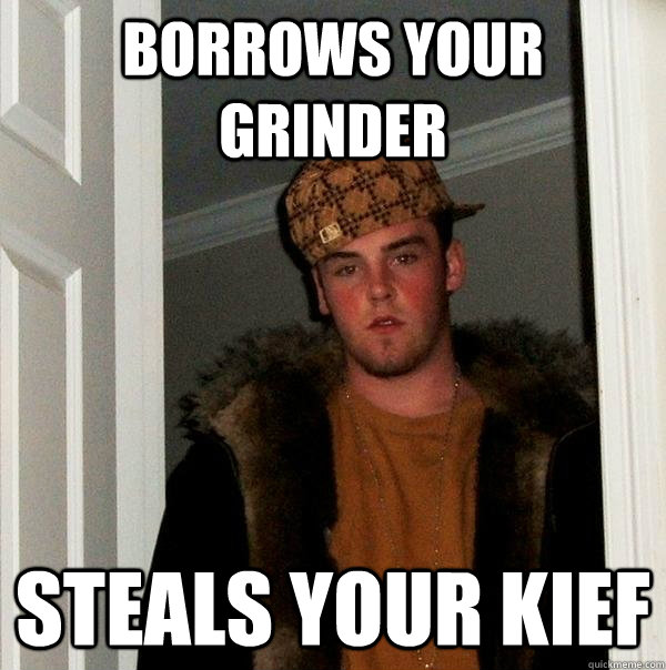 Borrows your Grinder Steals your Kief  Scumbag Steve