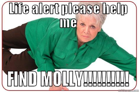 LIFE ALERT PLEASE HELP ME FIND MOLLY!!!!!!!!!! Misc