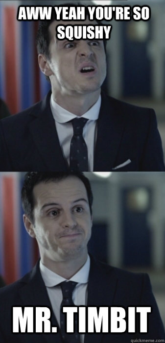 aww yeah you're so squishy mr. timbit  Misleading Moriarty