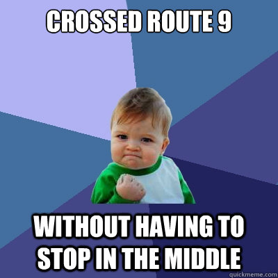 Crossed Route 9 Without having to stop in the middle  Success Kid