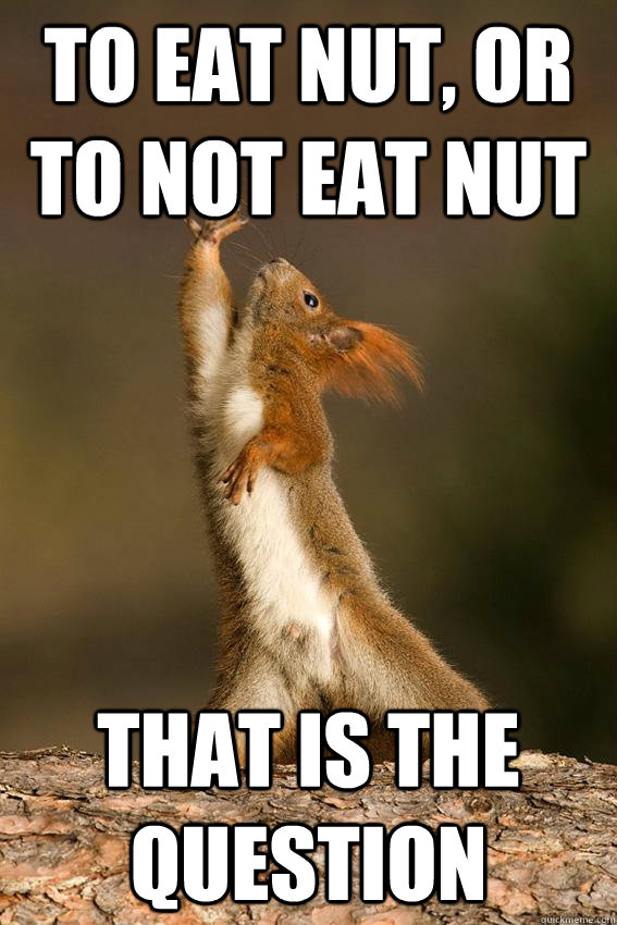 To eat nut, or to not eat nut That is the question  Shakespeare Squirrel