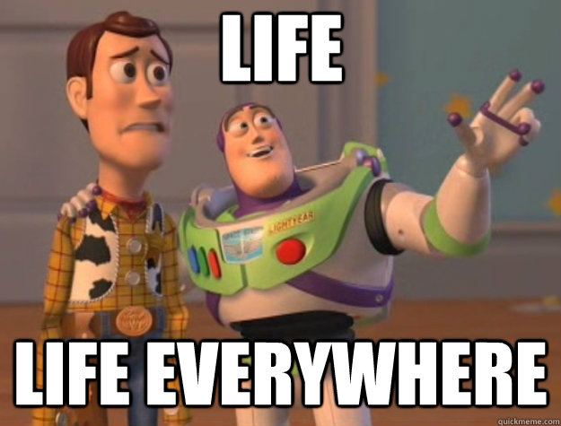 life life everywhere  Toy Story