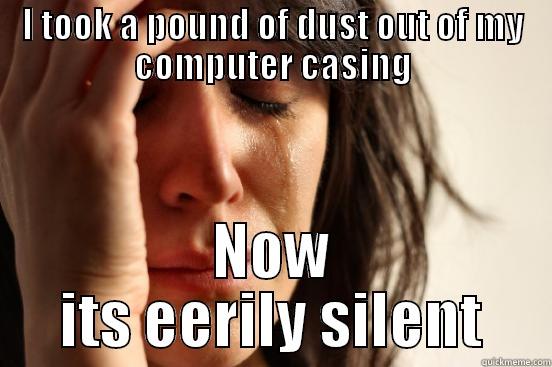 I TOOK A POUND OF DUST OUT OF MY COMPUTER CASING NOW ITS EERILY SILENT First World Problems