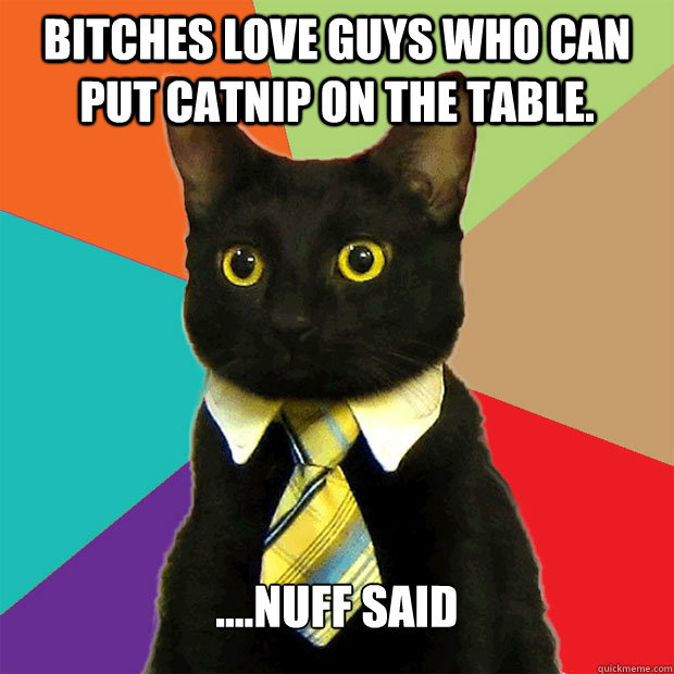 Bitches love guys who can put catnip on the table. ....nuff said  Business Cat