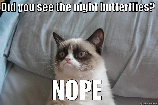 DID YOU SEE THE NIGHT BUTTERFLIES? NOPE Grumpy Cat