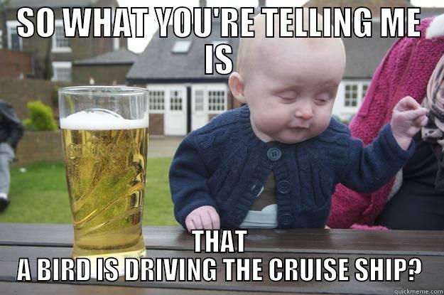 SO WHAT YOU'RE TELLING ME IS THAT A BIRD IS DRIVING THE CRUISE SHIP? drunk baby