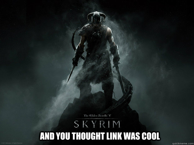 AND you thought link was cool  skyrim