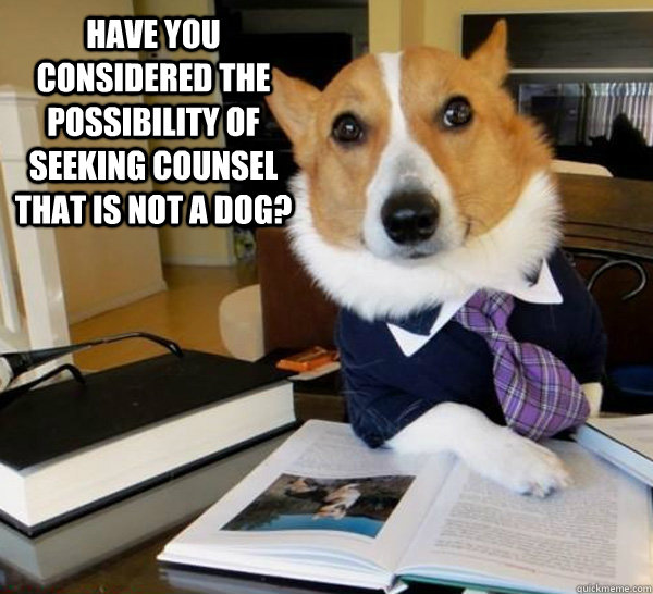 Have you considered the possibility of seeking counsel that is not a dog?   Lawyer Dog