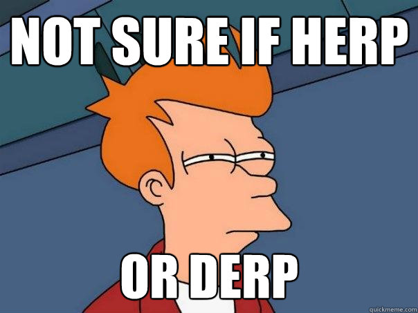 Not sure if Herp or Derp - Not sure if Herp or Derp  Futurama Fry