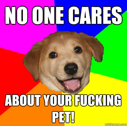 No One cares about your fucking pet!  Advice Dog