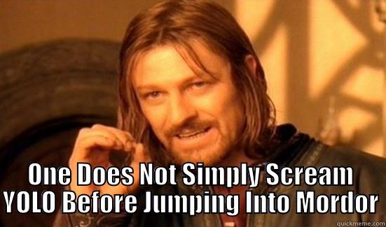  ONE DOES NOT SIMPLY SCREAM YOLO BEFORE JUMPING INTO MORDOR Boromir