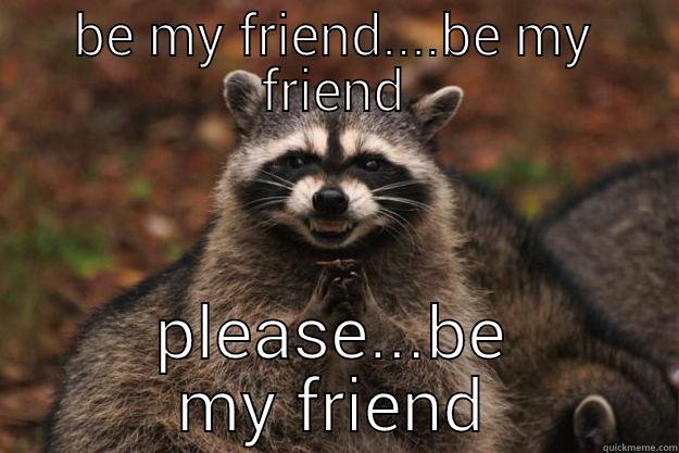 be my friend - BE MY FRIEND....BE MY FRIEND PLEASE...BE MY FRIEND Evil Plotting Raccoon