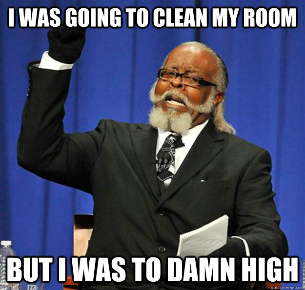 i was going to clean my room but i was to damn high - i was going to clean my room but i was to damn high  Jimmy McMillan