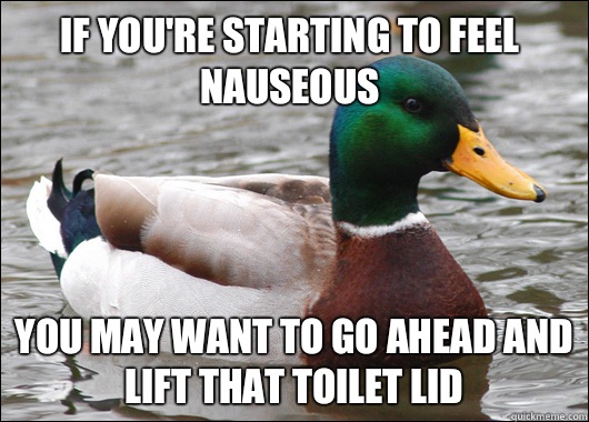 If you're starting to feel nauseous You may want to go ahead and lift that toilet lid - If you're starting to feel nauseous You may want to go ahead and lift that toilet lid  Actual Advice Mallard