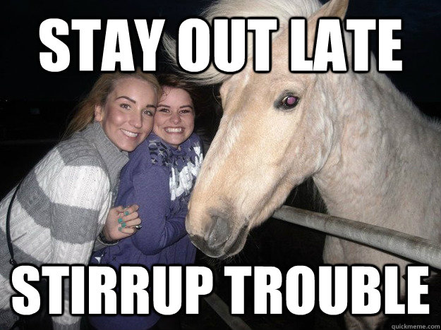 stay out late stirrup trouble  Ridiculously Photogenic Horse