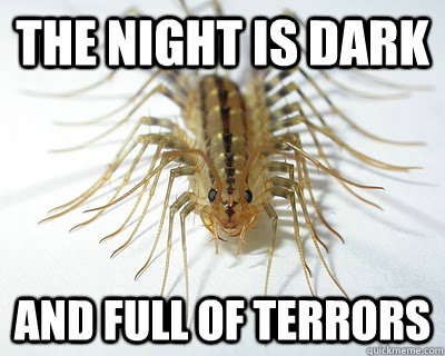 The night is dark And full of terrors  House Centipede