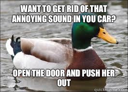 Want to get rid of that annoying sound in you car? Open the door and push her out  Good Advice Duck
