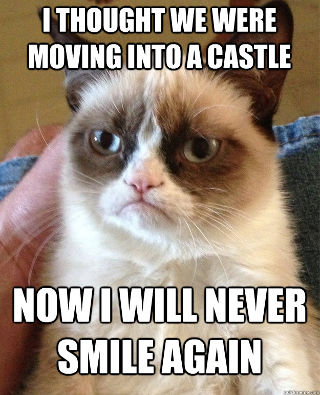 i thought we were moving into a castle now i will never smile again  Grumpy Cat