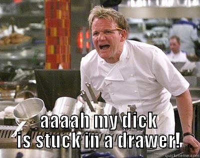  AAAAH MY DICK IS STUCK IN A DRAWER! Chef Ramsay