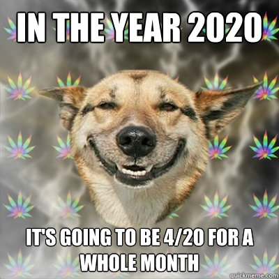 In the year 2020 It's going to be 4/20 for a whole month   Stoner Dog