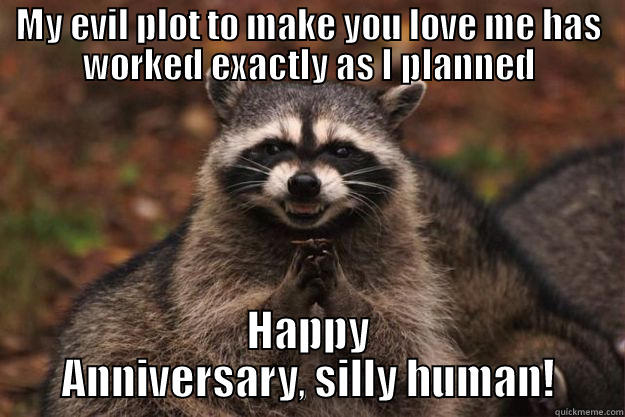 MY EVIL PLOT TO MAKE YOU LOVE ME HAS WORKED EXACTLY AS I PLANNED HAPPY ANNIVERSARY, SILLY HUMAN! Evil Plotting Raccoon