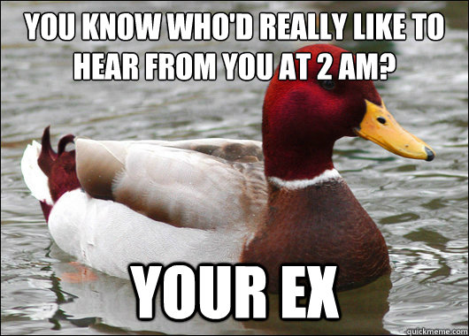 you know who'd really like to hear from you at 2 AM?
 your ex  Malicious Advice Mallard